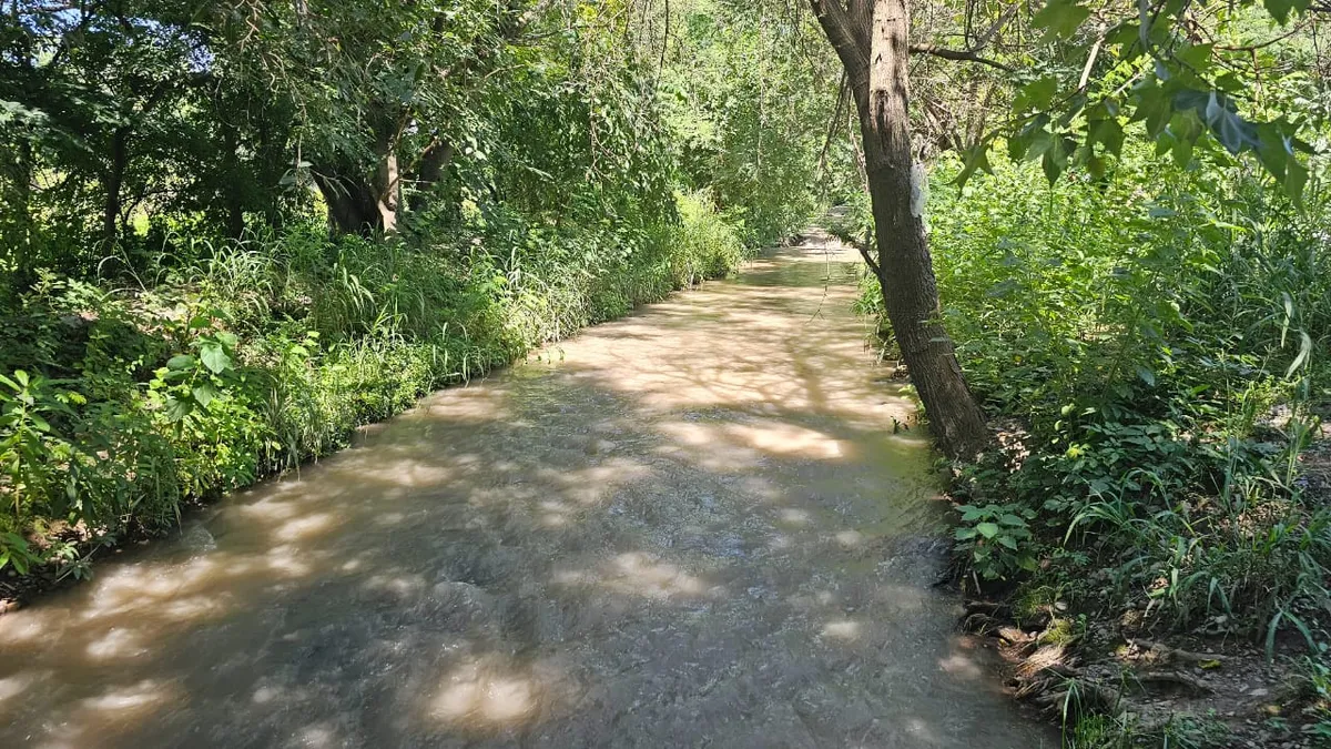 Ante los días de calor, alertan sobre el peligro de bañarse en canales de riego