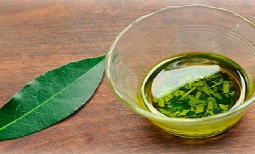 Infusión de LAUREL para tratar REUMATISMO, distensión de LIGAMENTOS y todo tipo de dolor ÓSEO