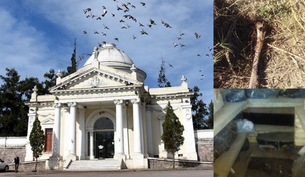 Tras un hallazgo, suspenden la instalación del crematorio en el Cementerio El Salvador