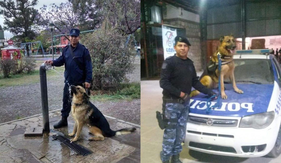Despidieron a Shiro, uno de los perros más queridos de la policía de Jujuy