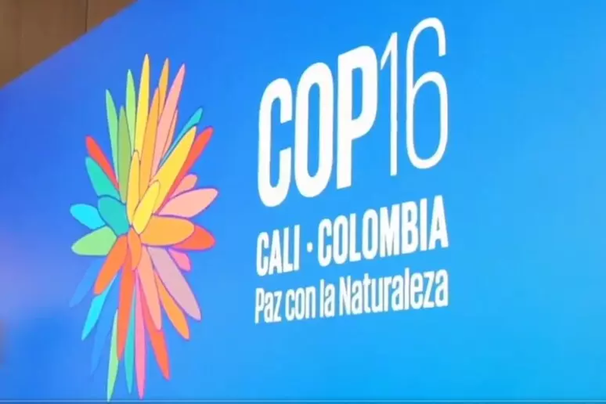 Colombia es sede de la COP16, importante cumbre sobre biodiversidad