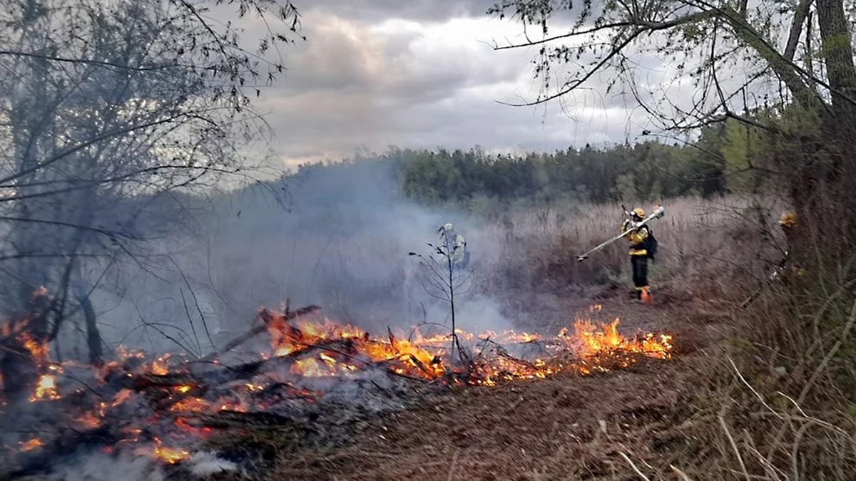 Delta Del Paraná: Ya Se Quemaron Más Hectáreas En 2022 Que En Todo El ...