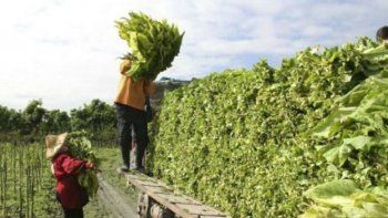 Desde Monterrico, piden fomentar el empleo y apoyo a la producción local