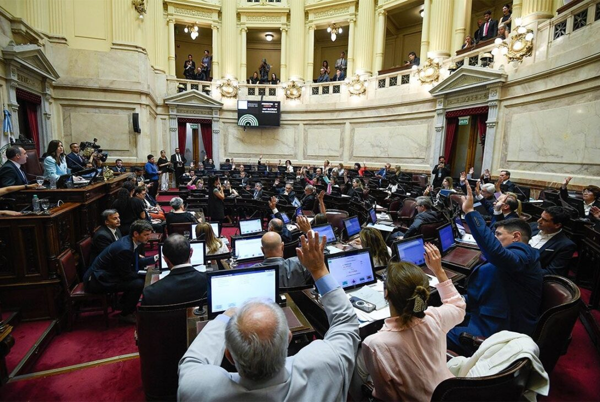 La suspensión de las PASO obtuvo dictamen y se debatirá en el Senado