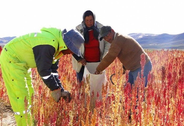 El principal desafío de la región es dar valor agregado a nuestros productos