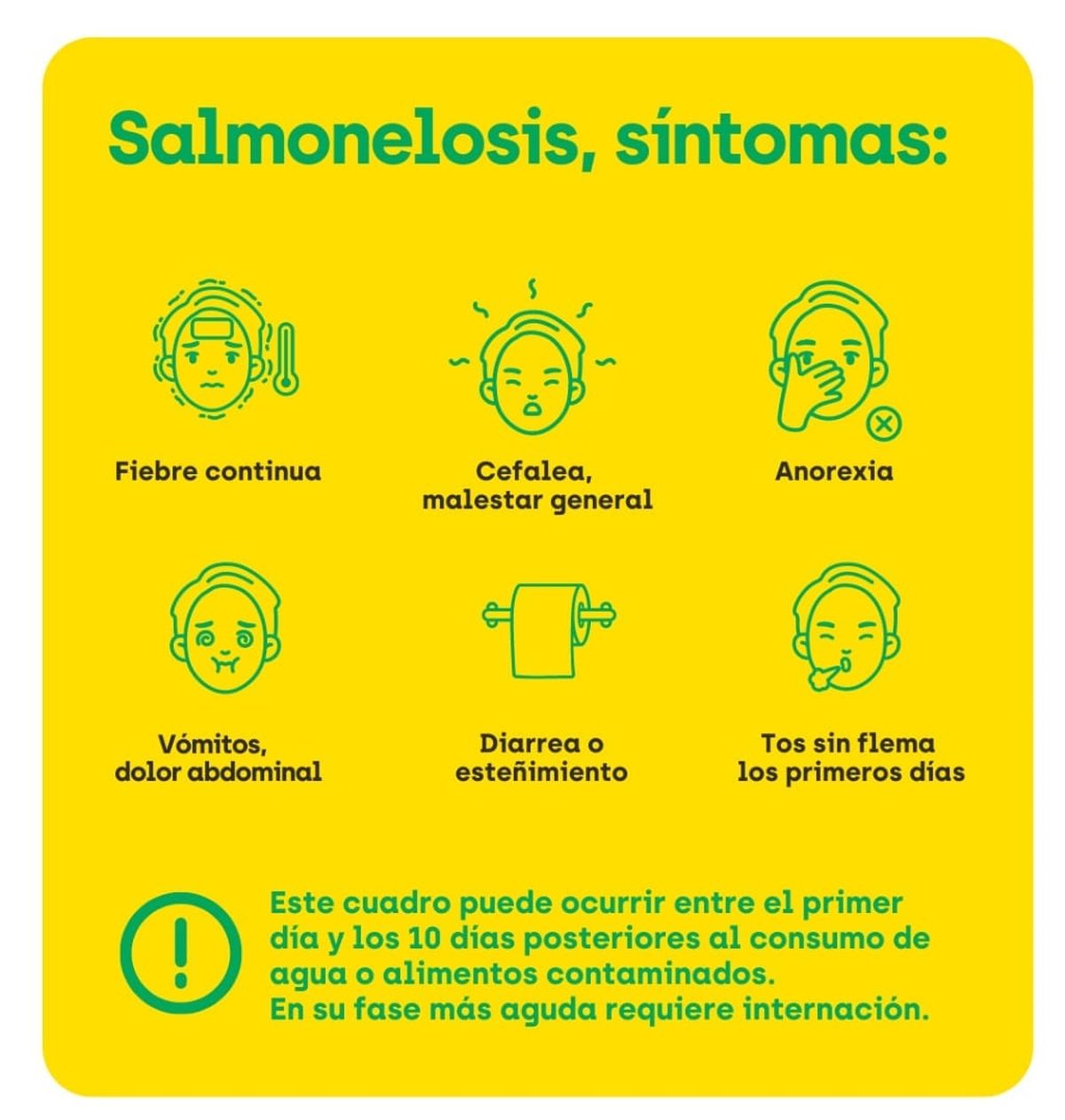 sintomas de salmonella