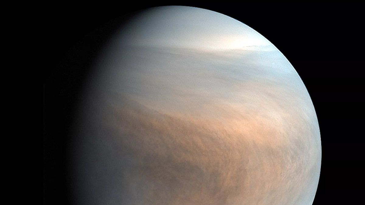 Astrónomos descubrieron indicios de vida en Venus