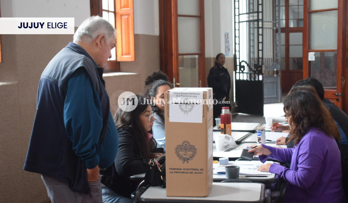 ¿Qué pasa si no fui a votar en las elecciones de este domingo?