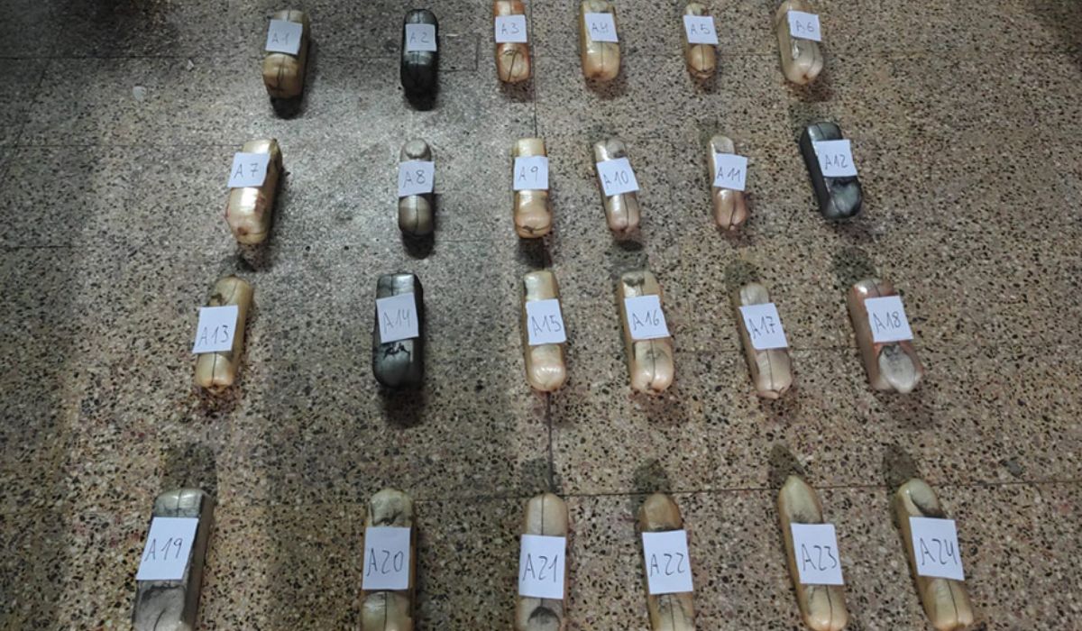 Foto: parte de la droga secuestrada por la Policía Federal en Jujuy.