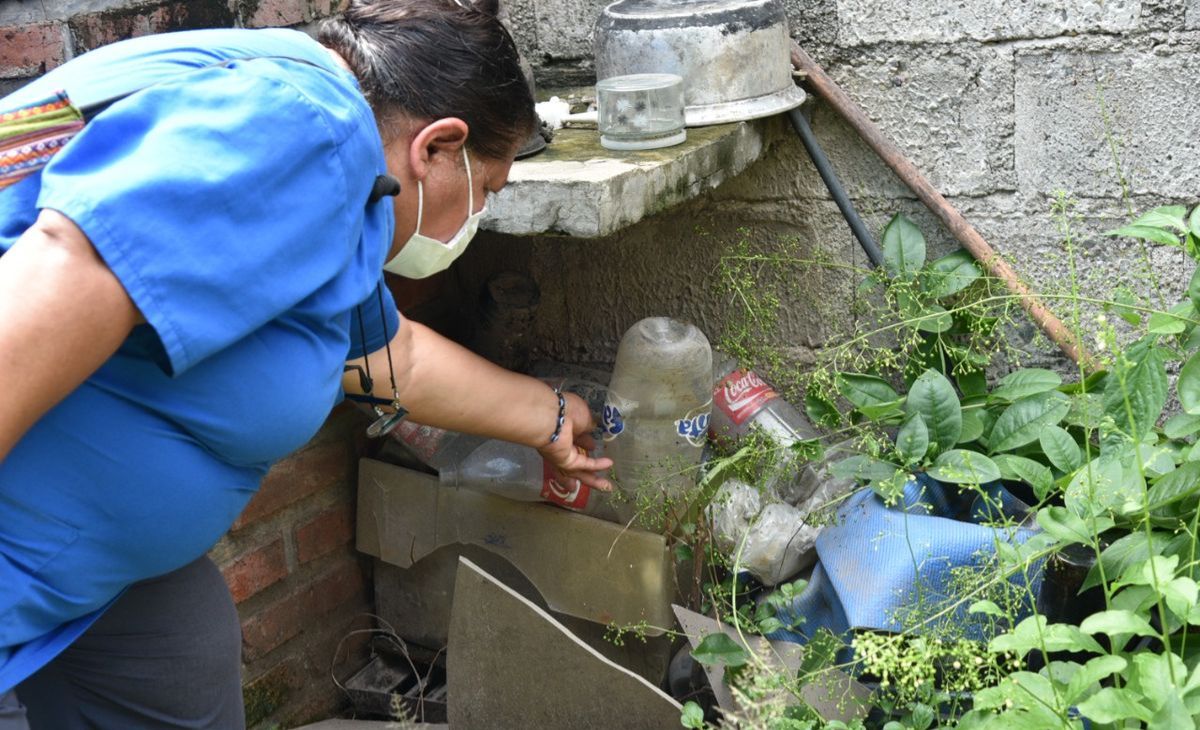 Dengue en Jujuy: más de 50 casos nuevos y ya superan los 200 en el año