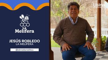 Usina Emprendedora: La Melífera, una historia de pasión, familia y trabajo junto a las abejas