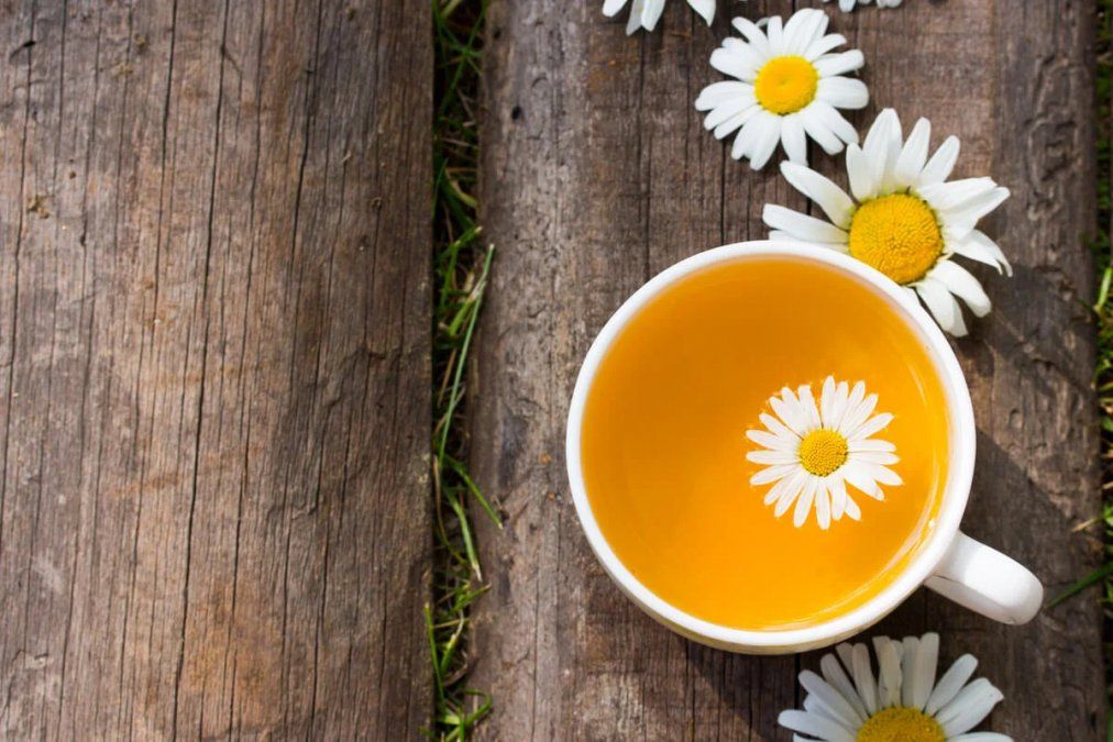 Té de manzanilla: propiedades y beneficios