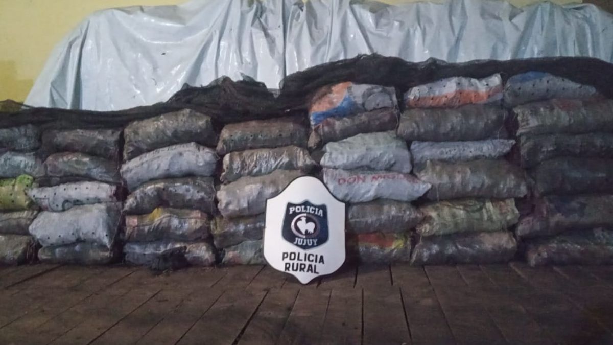 Se llevaba ilegalmente a Salta más de 200 bolsas de carbón
