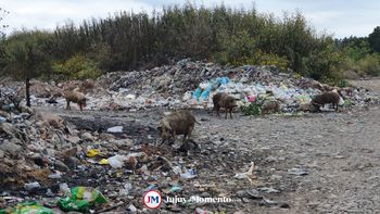 Generación de basurales en Jujuy: ya identificaron a 7 infractores y aplicaron multas
