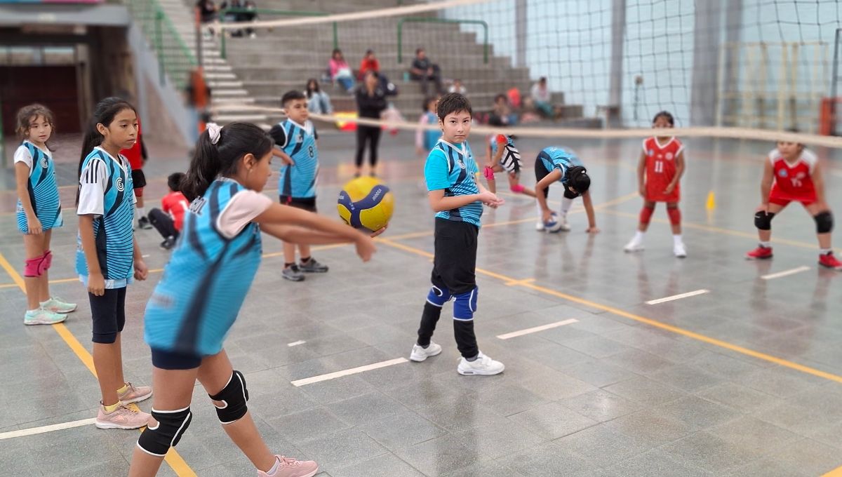 Lobitos 2025, el Mini Vóley vuelve a reunir a los más chicos
