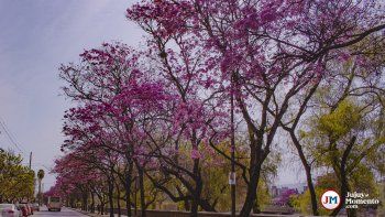 La primavera arranca con calor en la capital jujeña