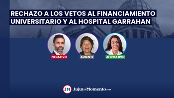 Rechazo a los vetos presidenciales: la votación de los senadores por Jujuy