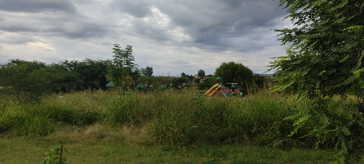 Abandono total del Parque Belgrano: repleto de maleza, insectos y alimañas