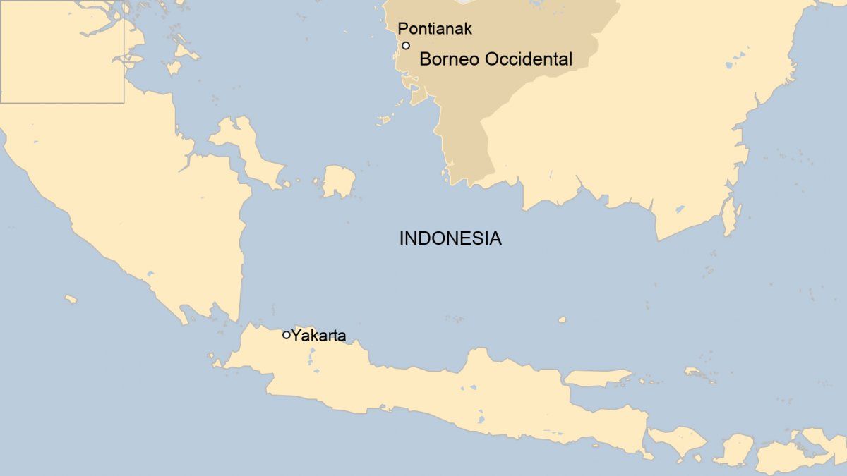 Conmoción en Indonesia: Un avión con 62 personas a bordo cayó al mar