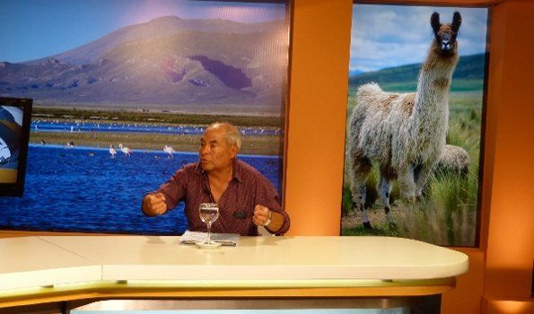 Estos chupasangre, ¿qué se han creído que somos?