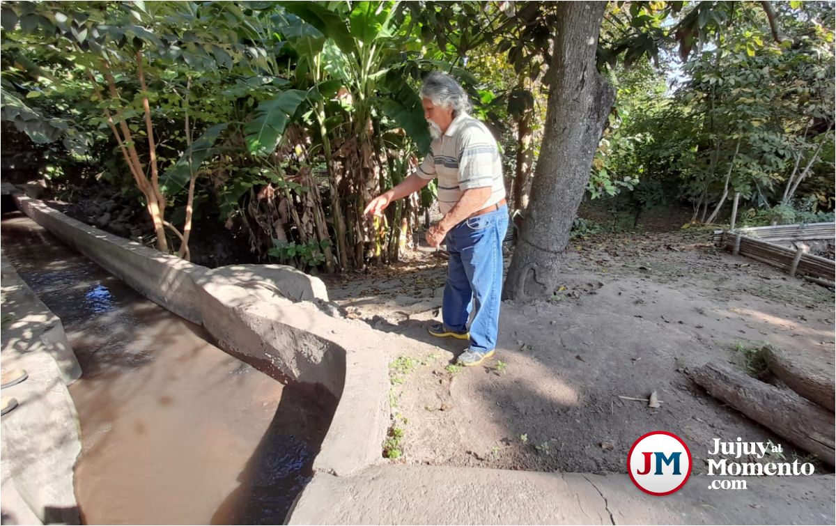 Canal con agua contaminada, larvas y huevos de mosquitos afecta a un barrio de Palpalá