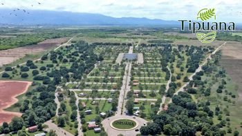 Tipuana: una oportunidad única para invertir en el futuro: 100% financiado!