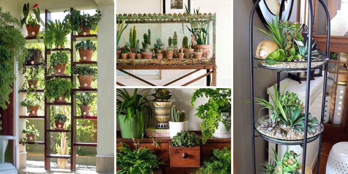 15 creativos y pequeños jardines que puedes armar en poco tiempo