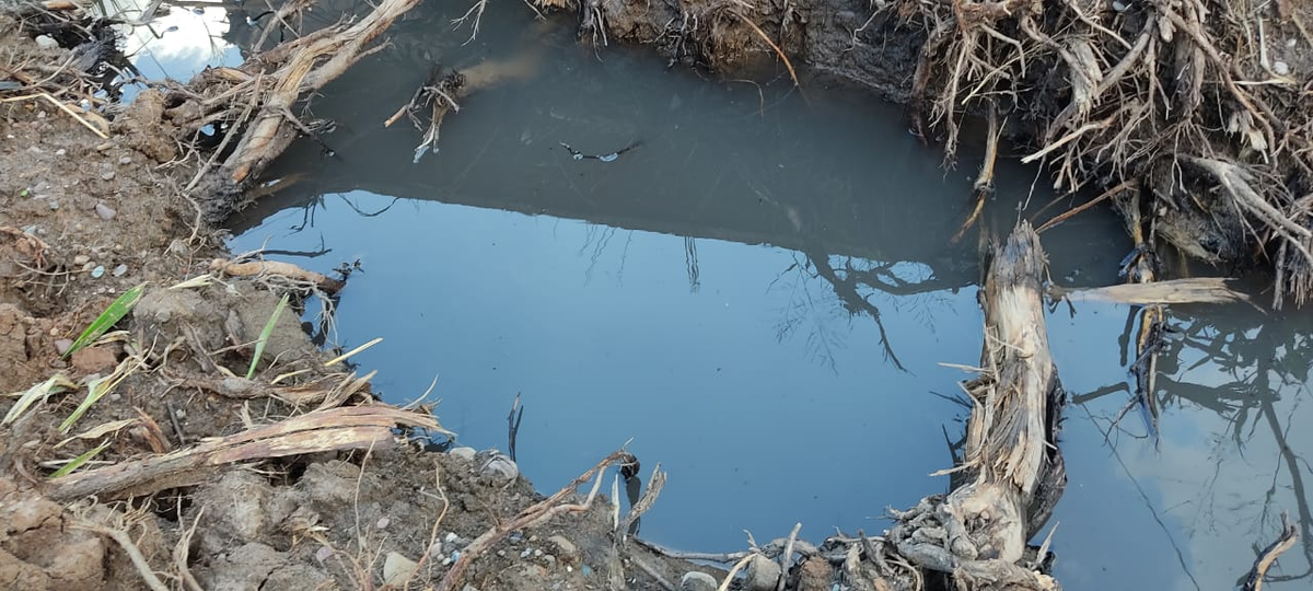 Vecinos reclaman por agua estancada y mosquitos en Sargento Cabral