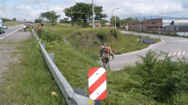 Desmalezan el Acceso Sur para mayor seguridad de automovilistas y peatones