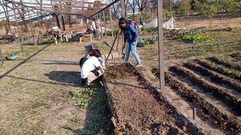 Graves denuncia en agrotécnicas de Jujuy: 
