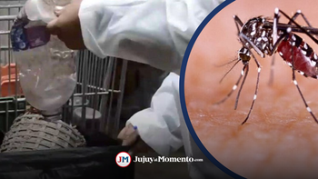 Confirmaron 3 casos nuevos de dengue en Jujuy