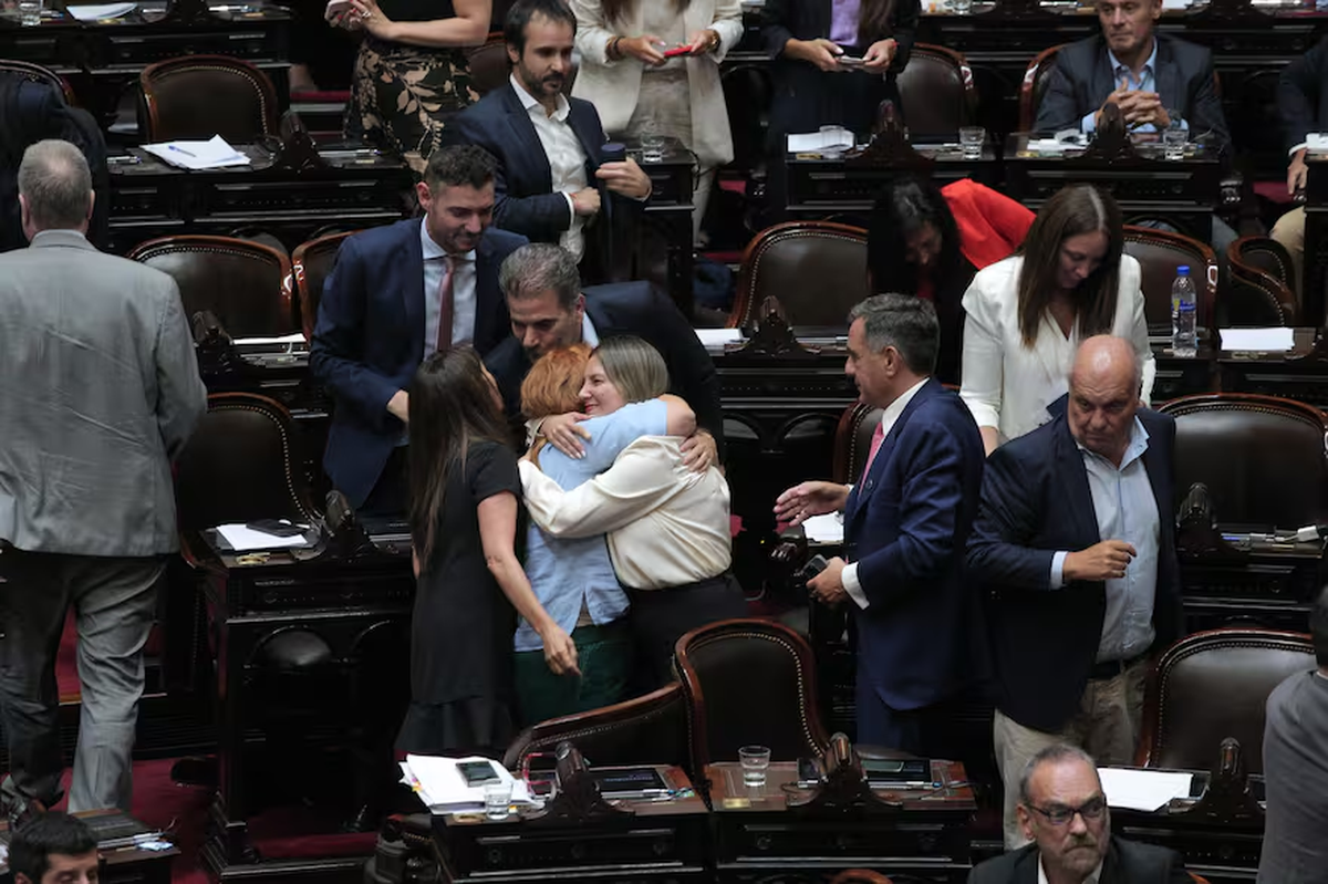 Diputados dio media sanción al proyecto de Ficha Limpia