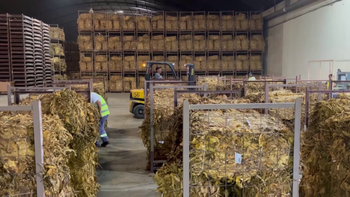 Tabacaleros no pueden terminar de vender la cosecha y denuncian asfixia por tarifas