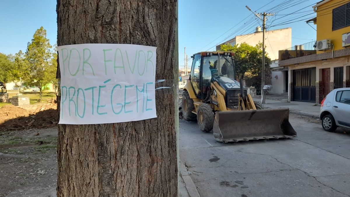 Más vecinos de Palpalá se oponen a la tala de árboles