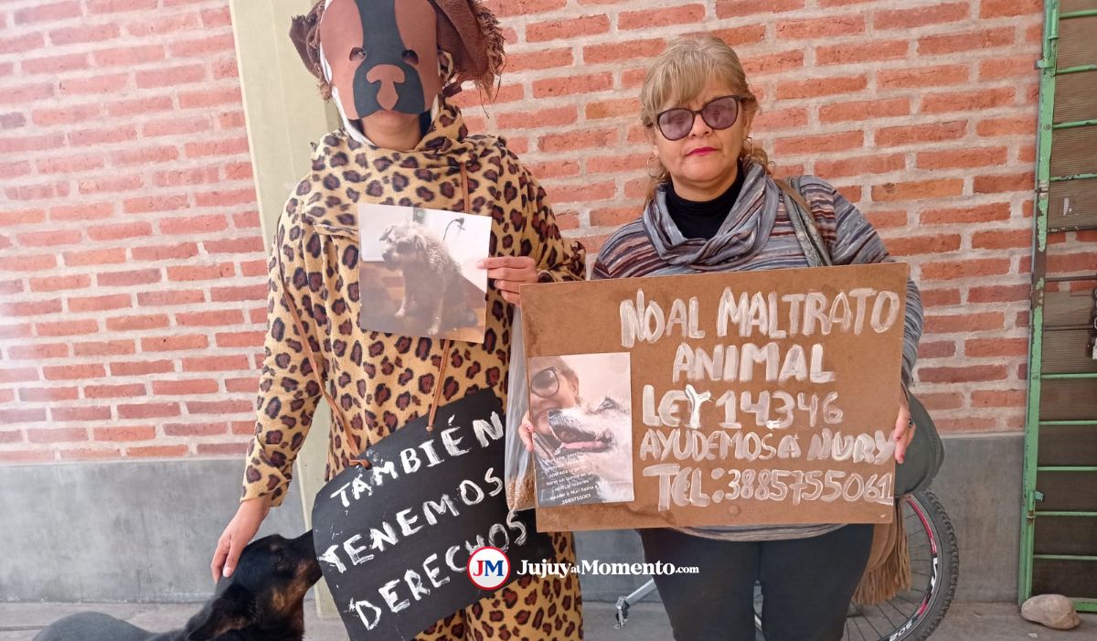Voto animalista: concurrió con un particular disfraz para reclamar contra el maltrato