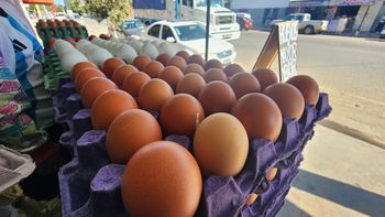 Notable caída en las ventas de huevos en Jujuy