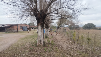 Inseguridad sin límites en Palpalá: robaron animales de una granja
