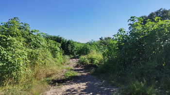 10 Hectáreas, un barrio que quedó aislado y abandonado en Palpalá