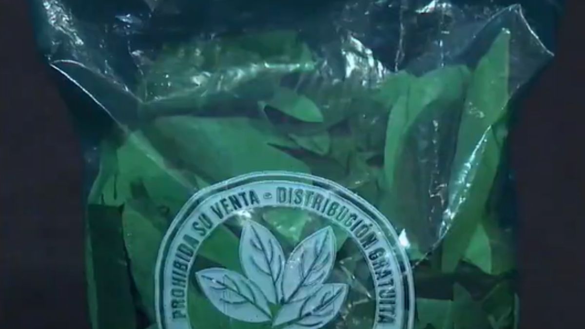 Distribución de hojas de coca incautadas ¿Cómo se puede acceder al