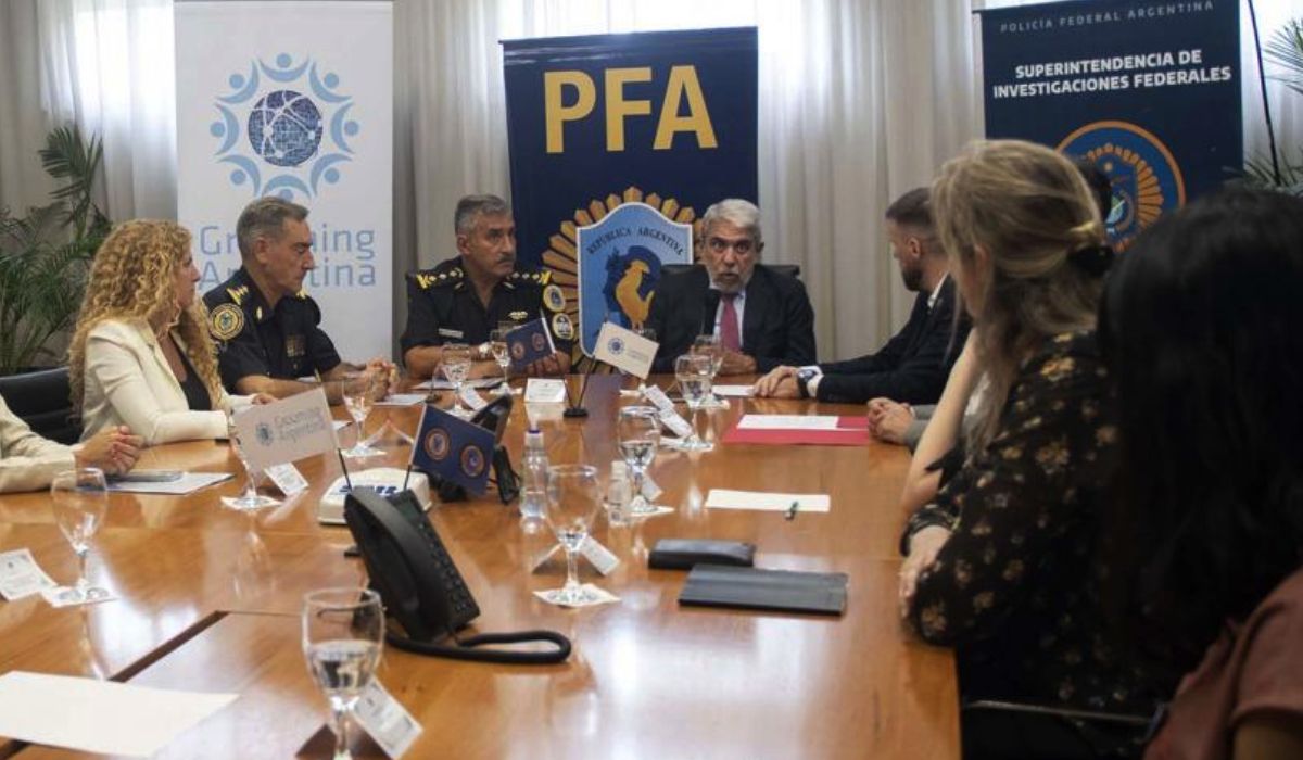 El Gobierno compró las primeras 100 pistolas Taser para las fuerzas de  seguridad