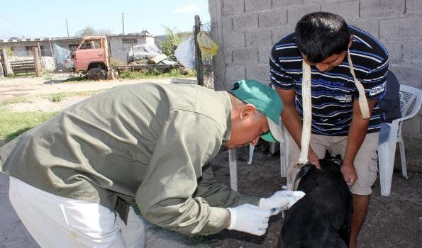 Comenzó la campaña de vacunación antirrábica municipal