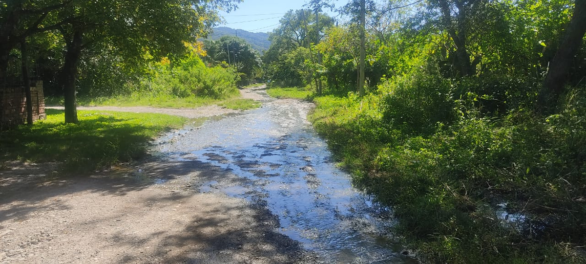 En Los Molinos, rebalsa una cloaca y los vecinos soportan olores nauseabundos