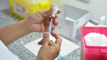 Llegan 10 mil vacunas contra el dengue a Jujuy: cómo se distribuirán