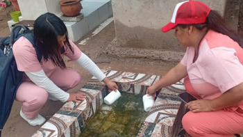 Ya son 9 los casos de Chikungunya en Jujuy: una embarazada y un niño contagiados