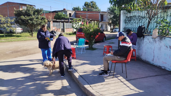 Maltrato animal en Palpalá: piden multas más severas e instan a denunciar