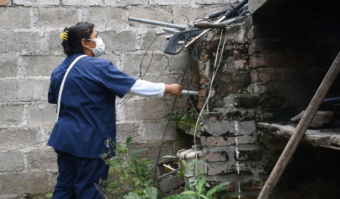 66 casos nuevos de dengue en Jujuy: Caimancito y San Pedro, los más afectados
