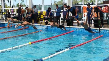 Torneo 