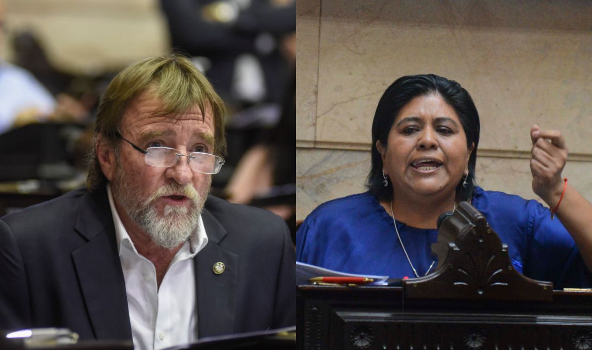 Rizzotti y Sarapura entre los diputados que Javier Milei tildó de ...