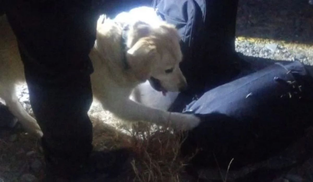 Foto: Policía de Catamarca.