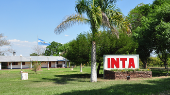 Crece la incertidumbre y el temor en INTA Jujuy